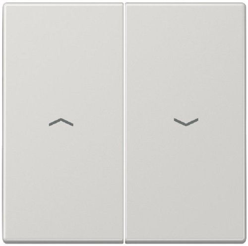 Лицевая панель Jung LS990 для 2-кл. выключателя жалюзи серый фото Лицевая панель Jung LS990 для 2-кл. выключателя жалюзи серый картинка